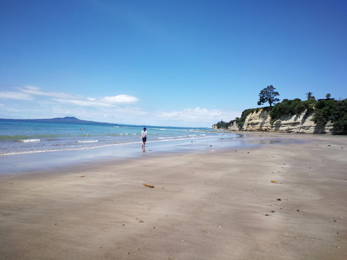 Harbour View Guesthouse Auckland Bagian luar foto